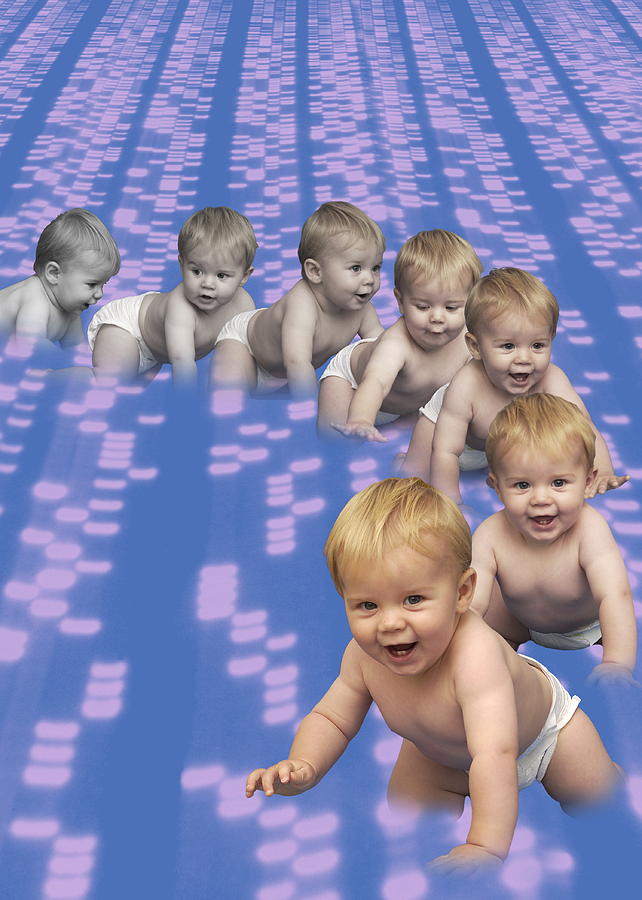 Human Cloning Photograph By Bluestone Science Photo Library Pixels