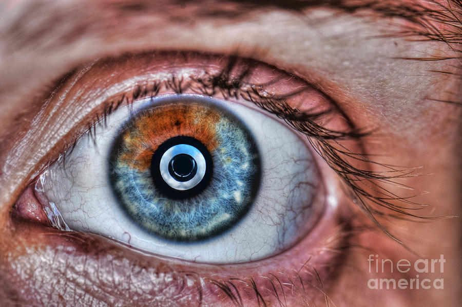 Iris Photograph - Human Eye #2 by Guy Viner