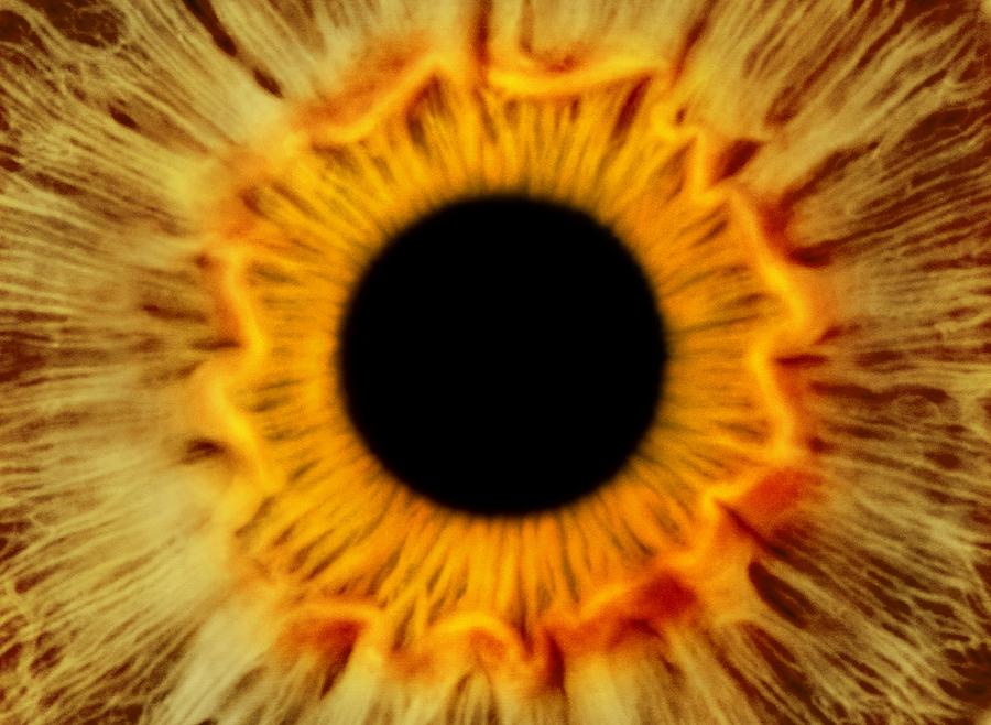 Iris Photograph - Human eye #2 by Science Photo Library