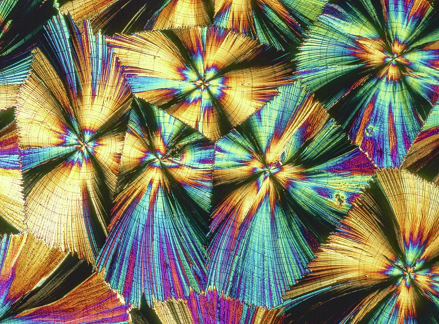 Human Growth Hormone Crystals #2 Photograph by Alfred Pasieka