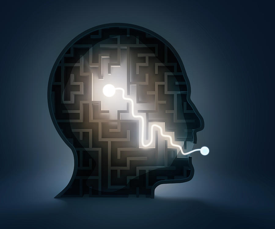 Human Head In Shape Of Maze #2 Photograph by Andrzej Wojcicki/science Photo Library