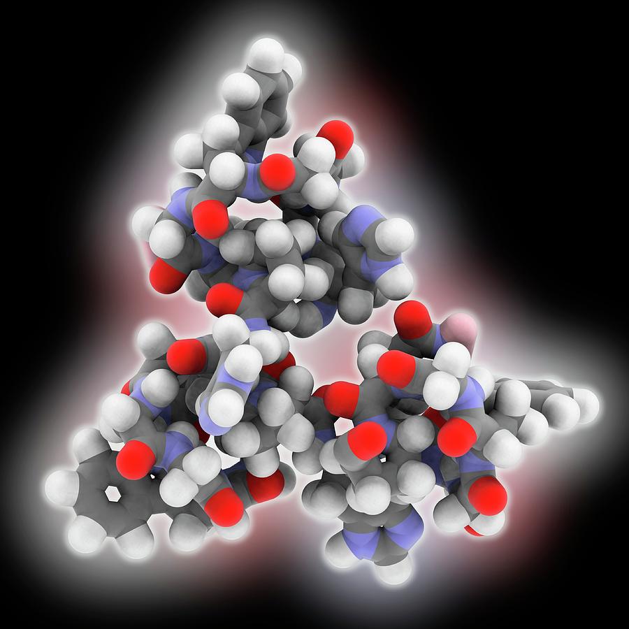 Human Major Prion Protein Molecule 2 Photograph by Laguna Design