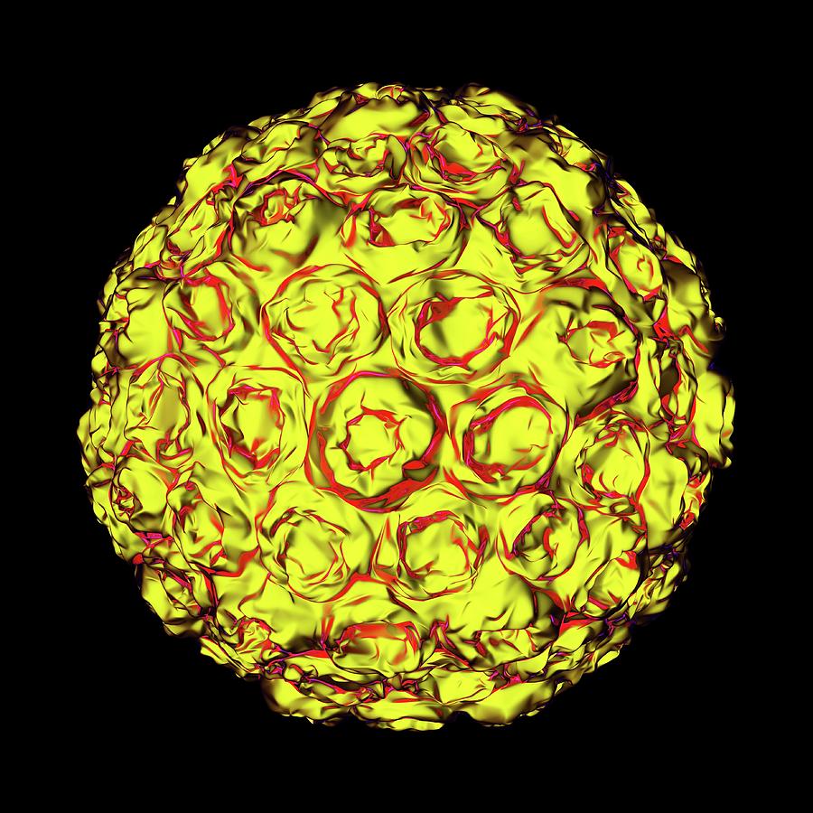 Human Papilloma Virus Particle Photograph by Mehau Kulyk