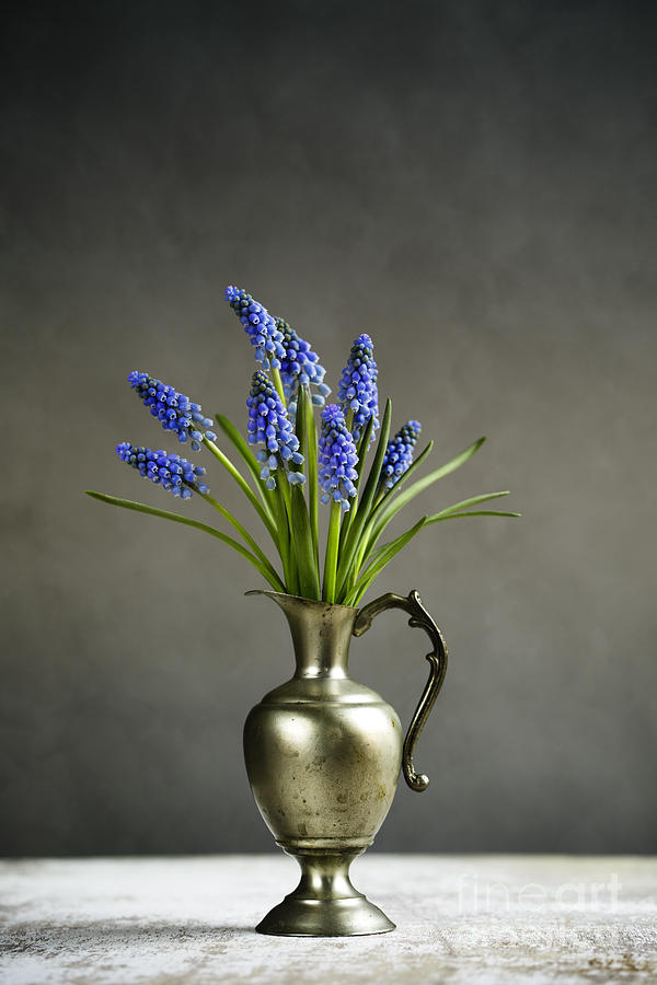 Vintage Photograph - Hyacinth Still Life #2 by Nailia Schwarz