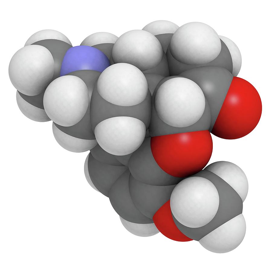 Hydrocodone Opioid Analgesic Drug #2 Photograph by Molekuul/science Photo Library
