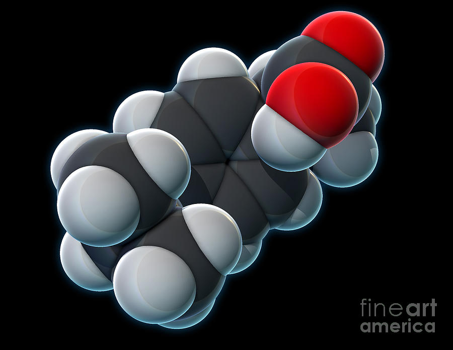 Ibuprofen, Molecular Model #2 Photograph by Evan Oto