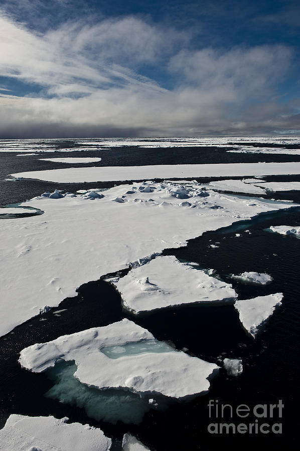 Ice Floes #2 Photograph by John Shaw