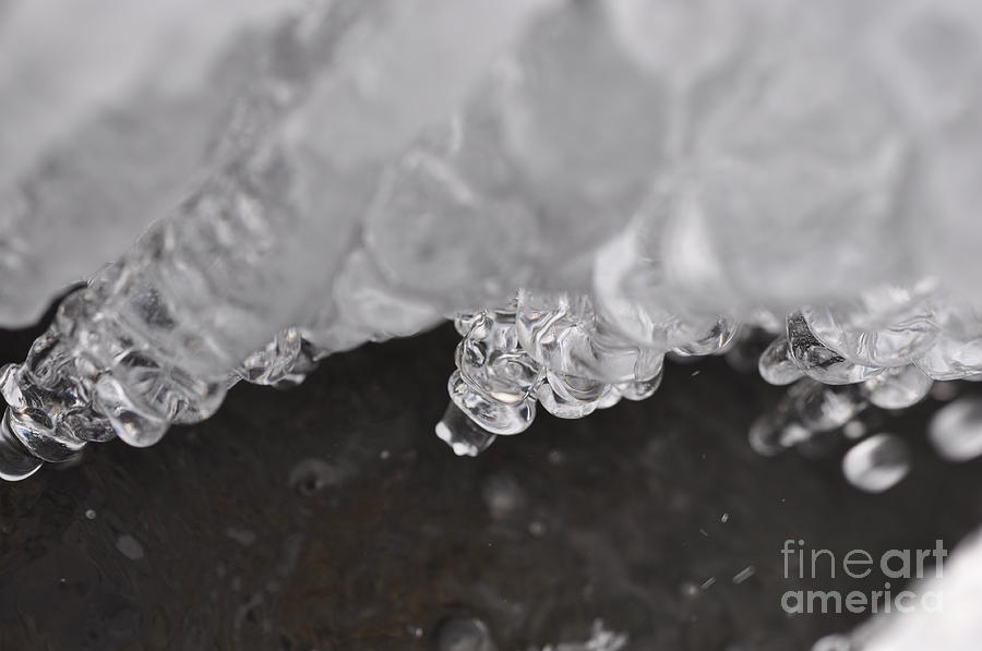 ice #2 Photograph by Sylvie Leandre