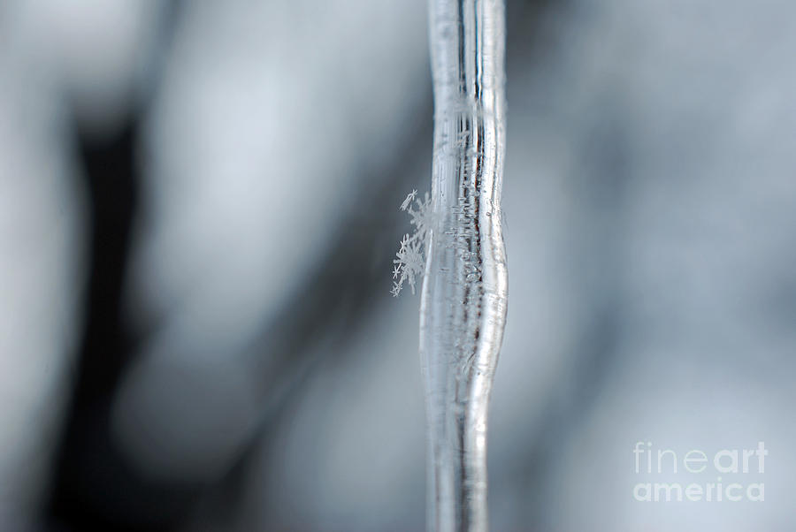 Icicle and Snowflakes #2 Photograph by Lila Fisher-Wenzel