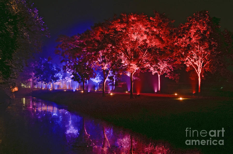 Trees Photograph - Illumina Light Show At Schloss Dyck Germany by David Davies Trees Photograph - Illumina Light Show At Schloss Dyck Germany by David Davies