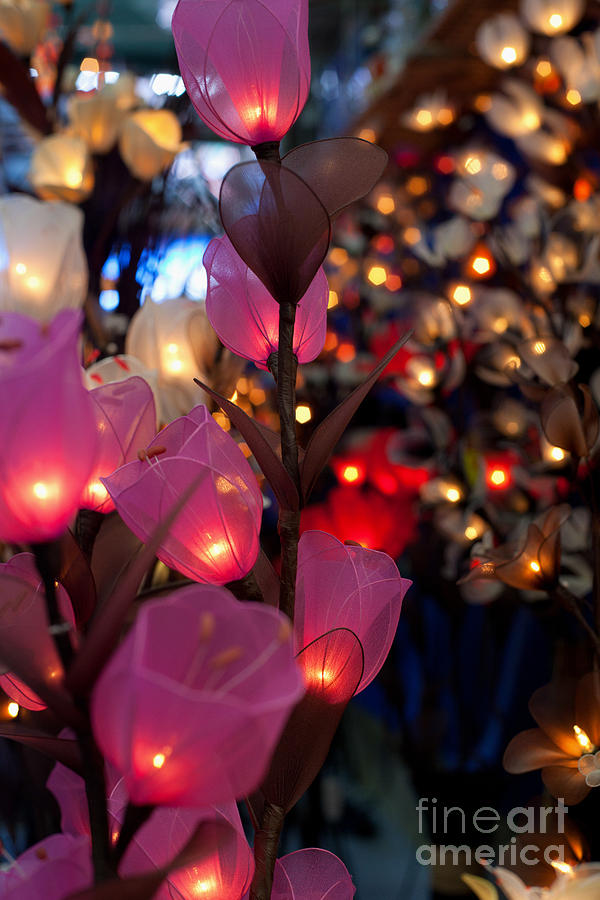 Lamp Photograph - Illuminated Silk flowers in Bangkok Thailand #2 by Fototrav Print