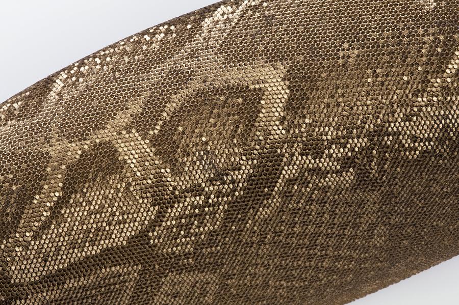 Animal Photograph - Imitation snake skin fabric #2 by Science Photo Library