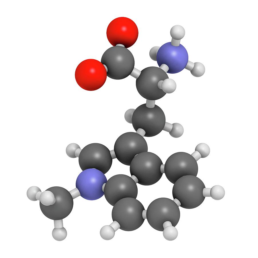 Indoximod Cancer Drug Molecule Photograph by Molekuul - Fine Art America