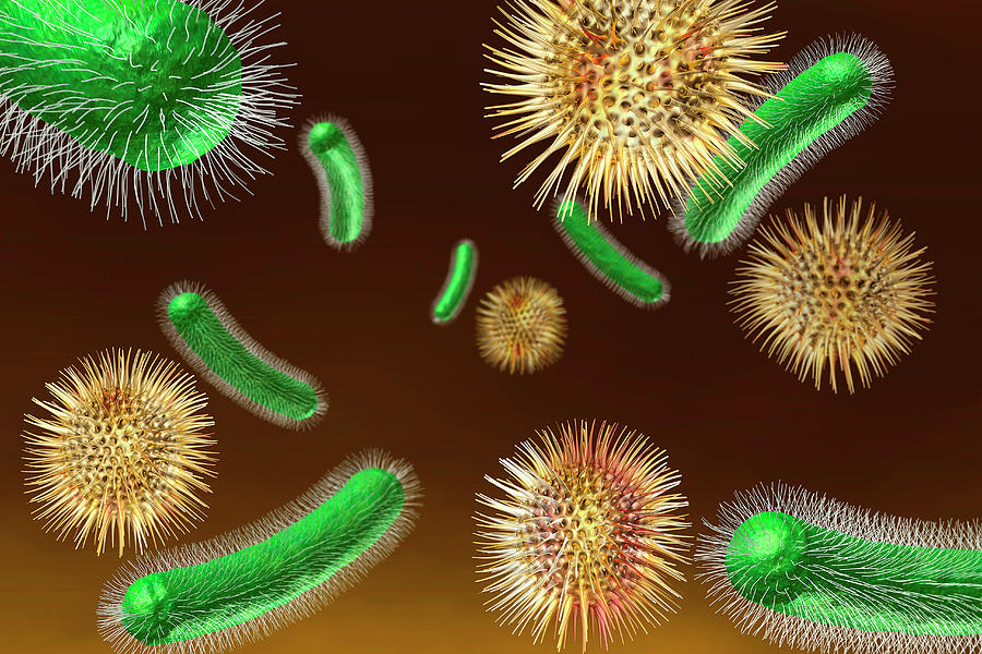 Bacterias intestinales síntomas