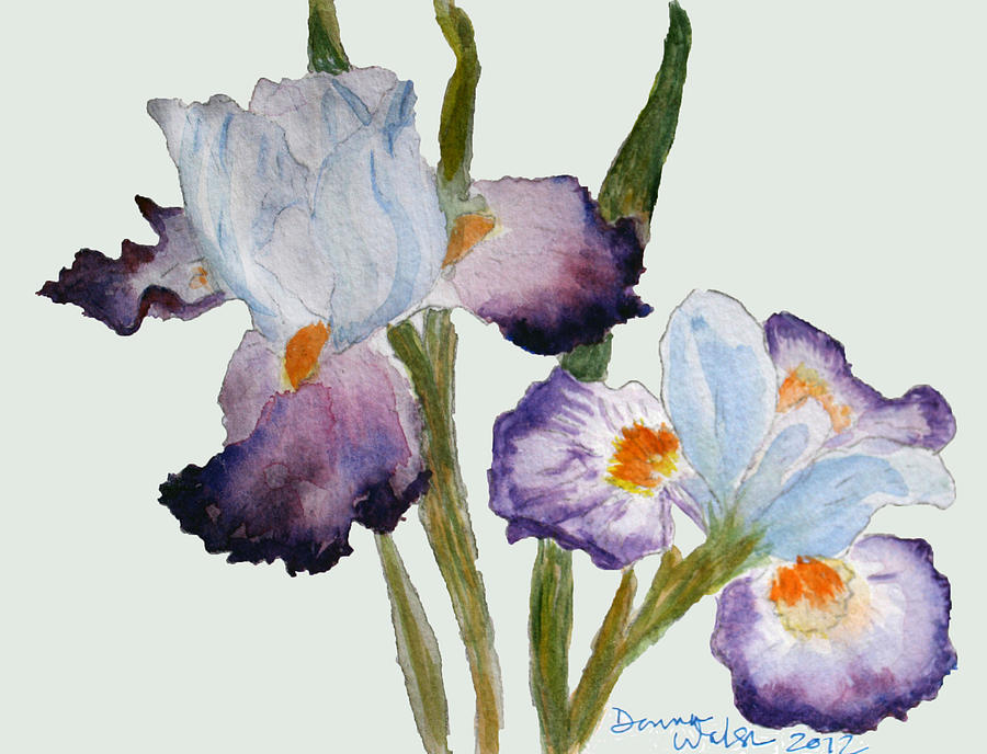 Iris #2 Painting by Donna Walsh