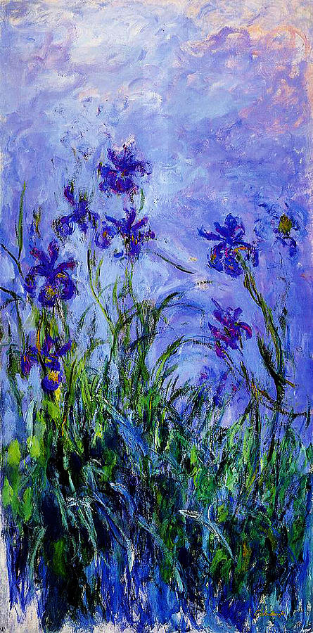 Claude Monet Painting - Irises by Celestial Images