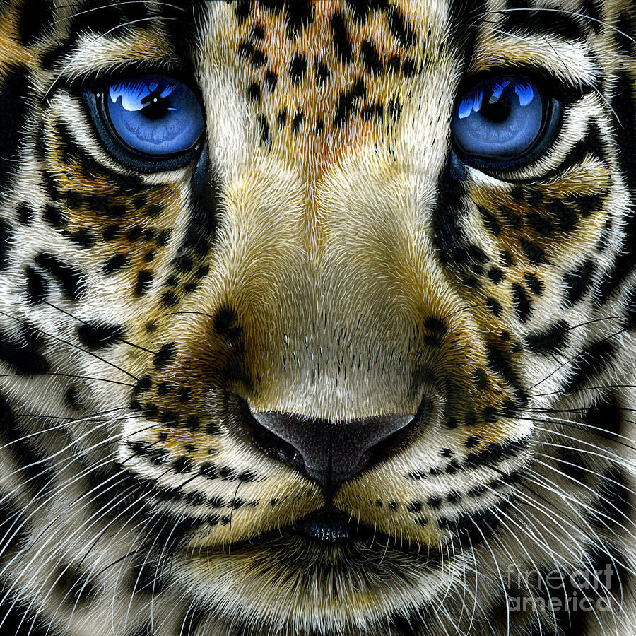 Cat Painting - Jaguar Cub #1 by Jurek Zamoyski