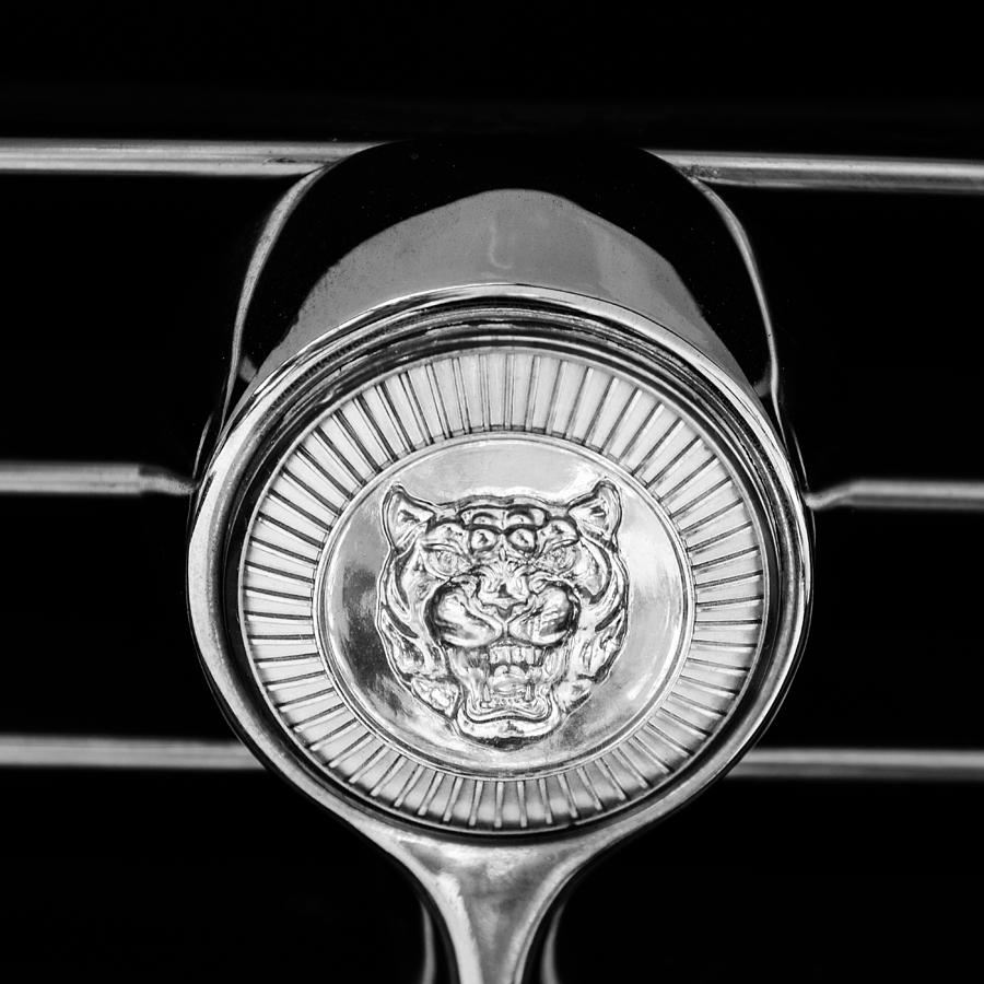 Jaguar Grille Emblem #2 Photograph by Jill Reger