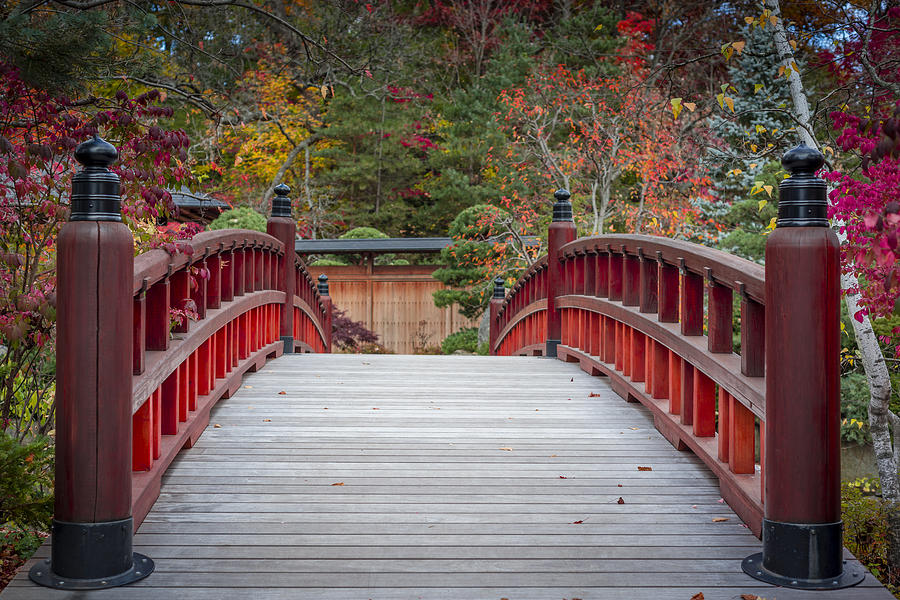 Fall Photograph - Japanese Bridge #3 by Sebastian Musial