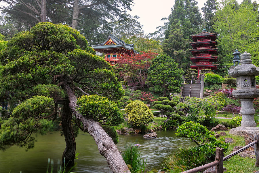 Architecture Photograph - Japanese Tea Garden - Golden Gate Park #3 by Adam Romanowicz