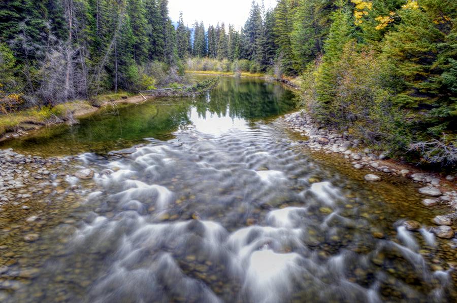 Jasper National Park Alberta Canada Photograph by Paul James Bannerman