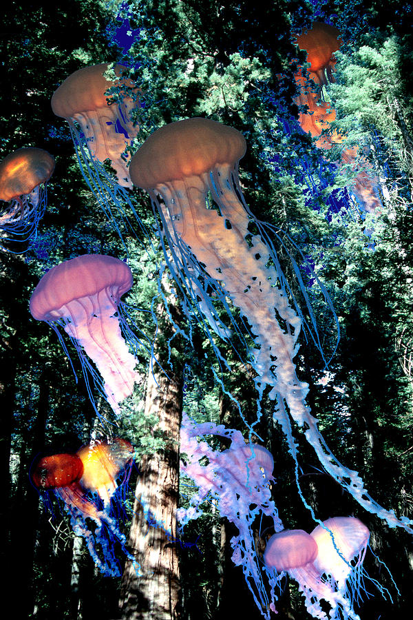 Jellyfish Forest Digital Art by Lisa Yount