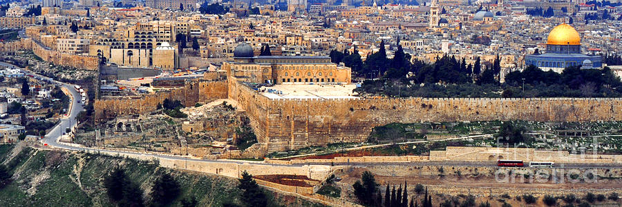 Jerusalem from Mount Olive #2 Photograph by Thomas R Fletcher