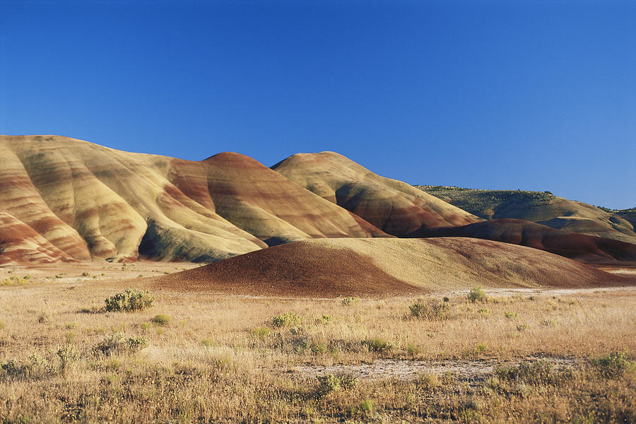 John Day Fossil Beds #2 Photograph by James Steinberg