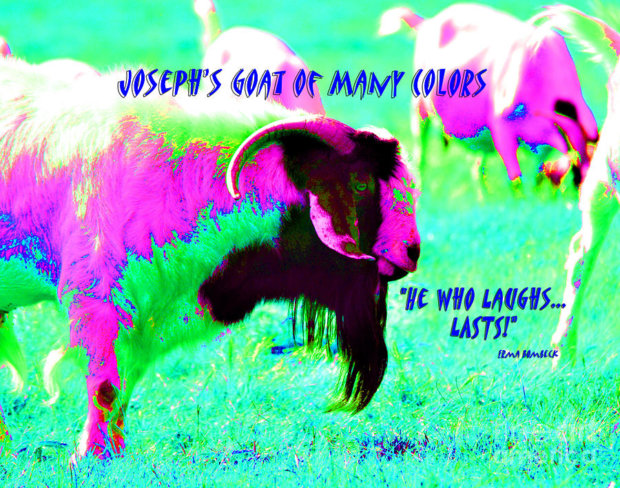 Josephs Goat Of Many Colors #2 Photograph by Linda Cox