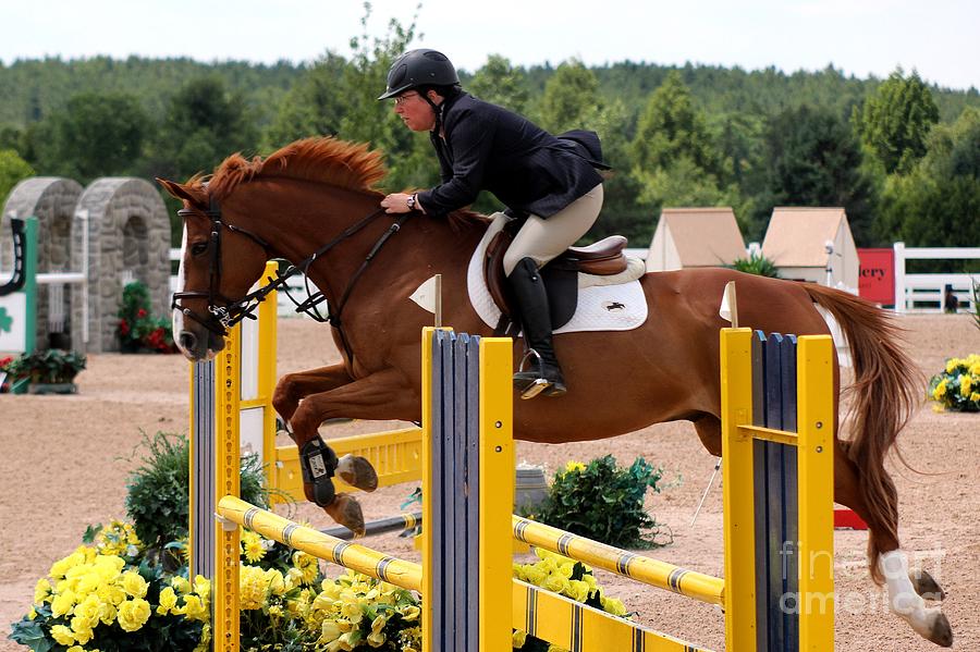 Jumper137 Photograph by Janice Byer
