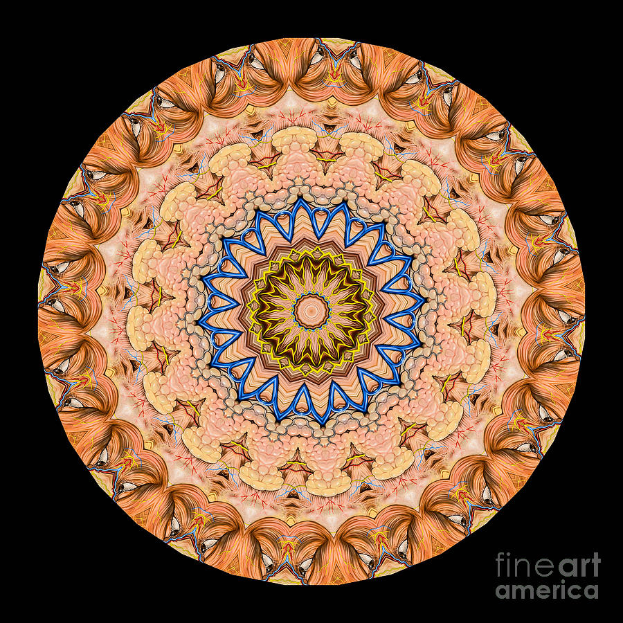 Abstract Photograph - Kaleidoscope Anatomical Illustrations Seriesi #2 by Amy Cicconi