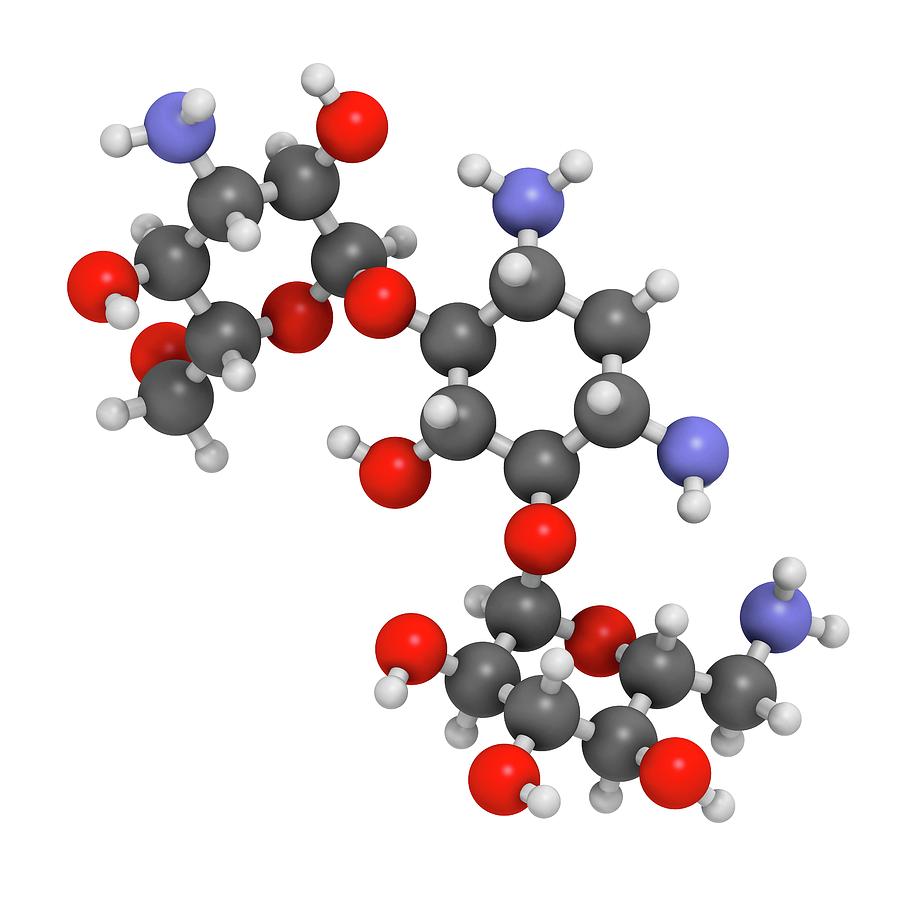 Kanamycin Antibiotic Drug Molecule Photograph by Molekuul - Pixels