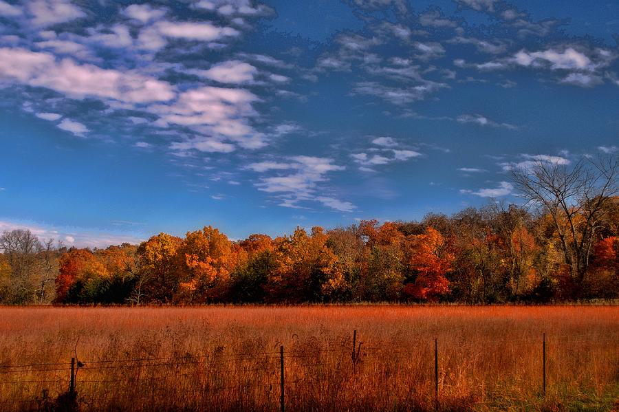 Kansas Fall Foliage #2 Photograph by Tim McCullough