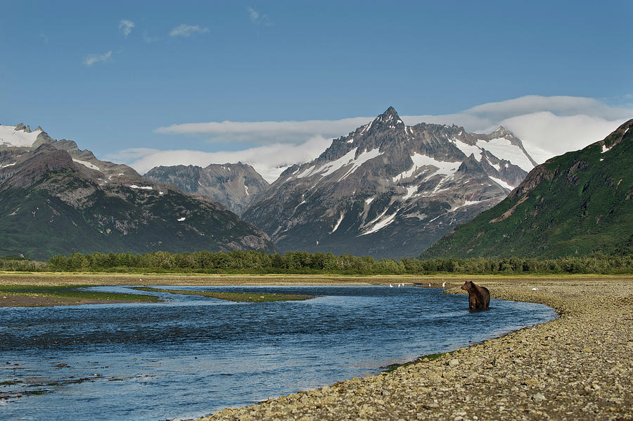 Katmai, Alaska Photograph by Enrique R. Aguirre Aves - Pixels