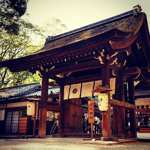 Beautiful Photograph - Kawai Shrine  河合神社 #2 by My Senx
