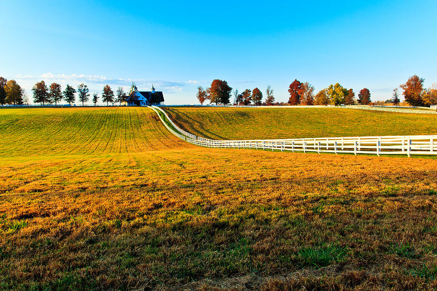 Kentucky Thoroughbred Farm #2 Photograph by Ben Graham