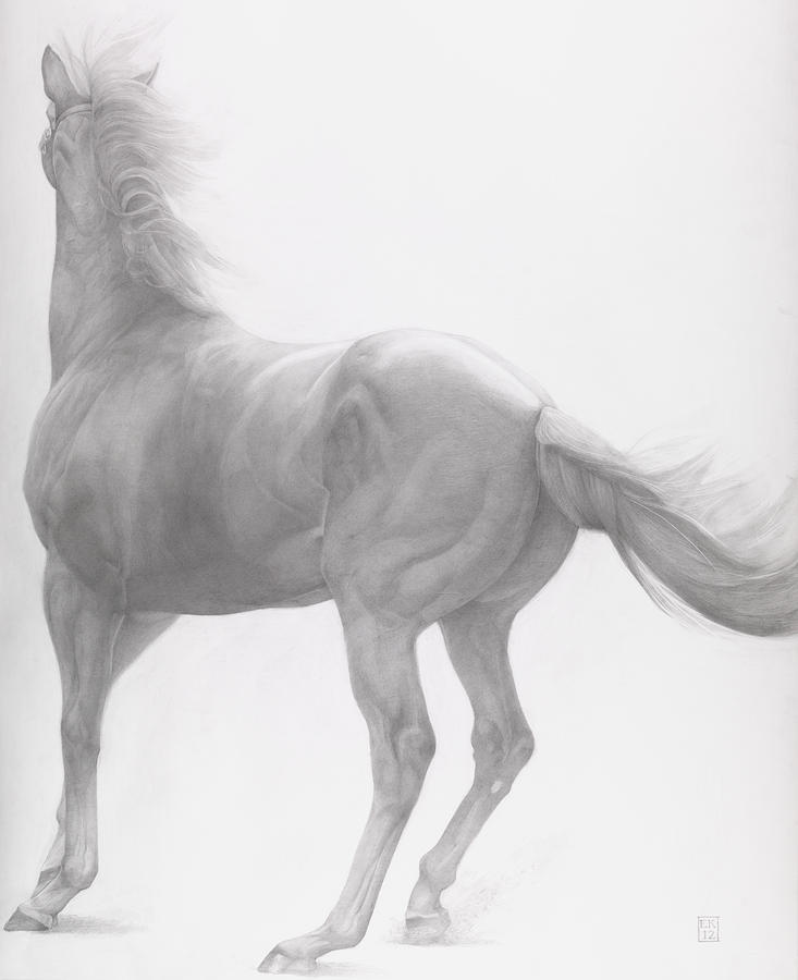 Horse Drawing - Kicking Off by Emma Kennaway
