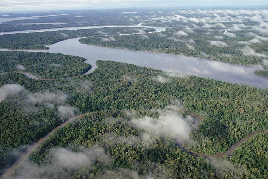 Kikori River In The Rainforest Kikori #2 Photograph by Gerry Ellis