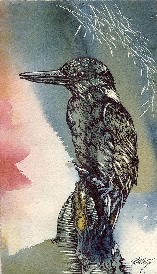 Kingfisher Drawing #2 Painting by Alfred Ng