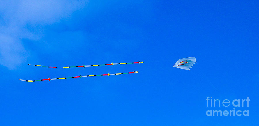 Kites on Ice #2 Photograph by Steven Ralser