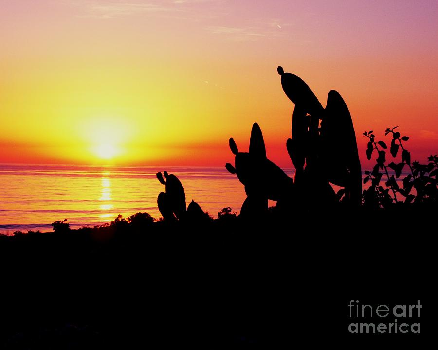 La Jolla Sunset #2 Photograph by Scott Cameron