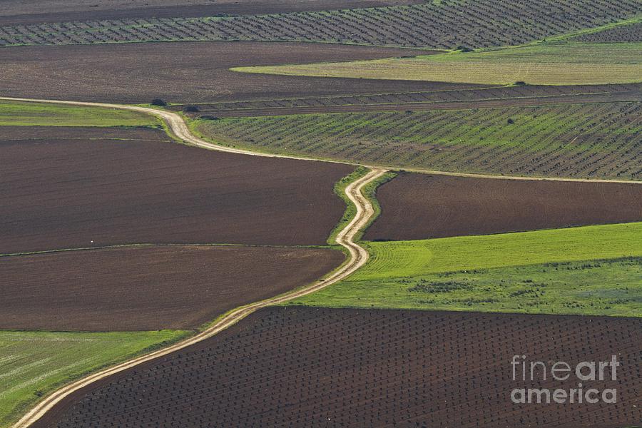 La Mancha Landscape - Spain Series-seis Photograph by Heiko Koehrer-Wagner