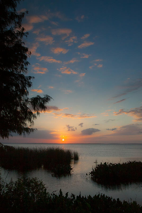 Lake Apopka Sunset #1 Photograph by W Chris Fooshee