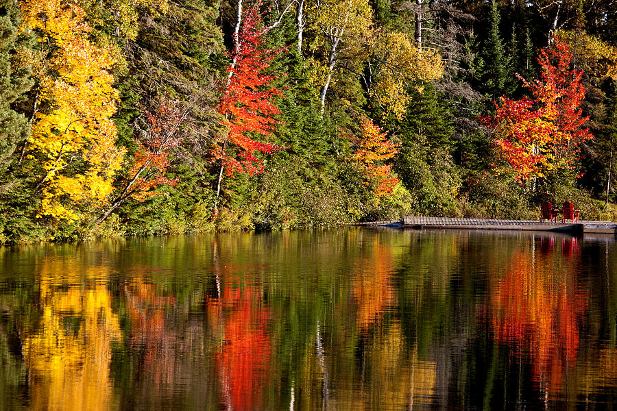 Lake in Autumn #2 Photograph by Mark Duffy