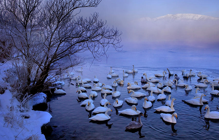 Nature Photograph - Lake Kussharo #2 by Lucas Vallecillos- Vwpics