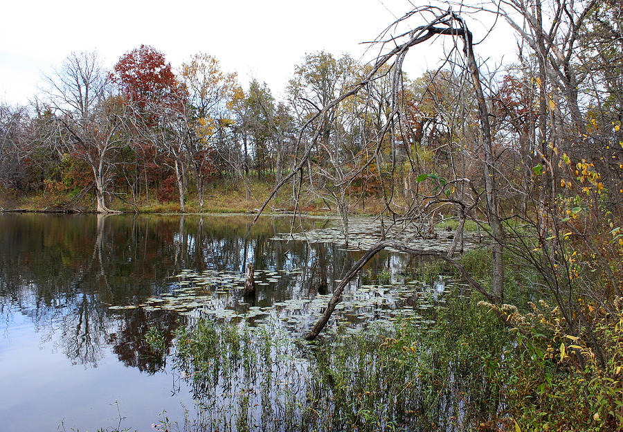 Lake Remembrance in Autumn #2 Photograph by Ellen Tully