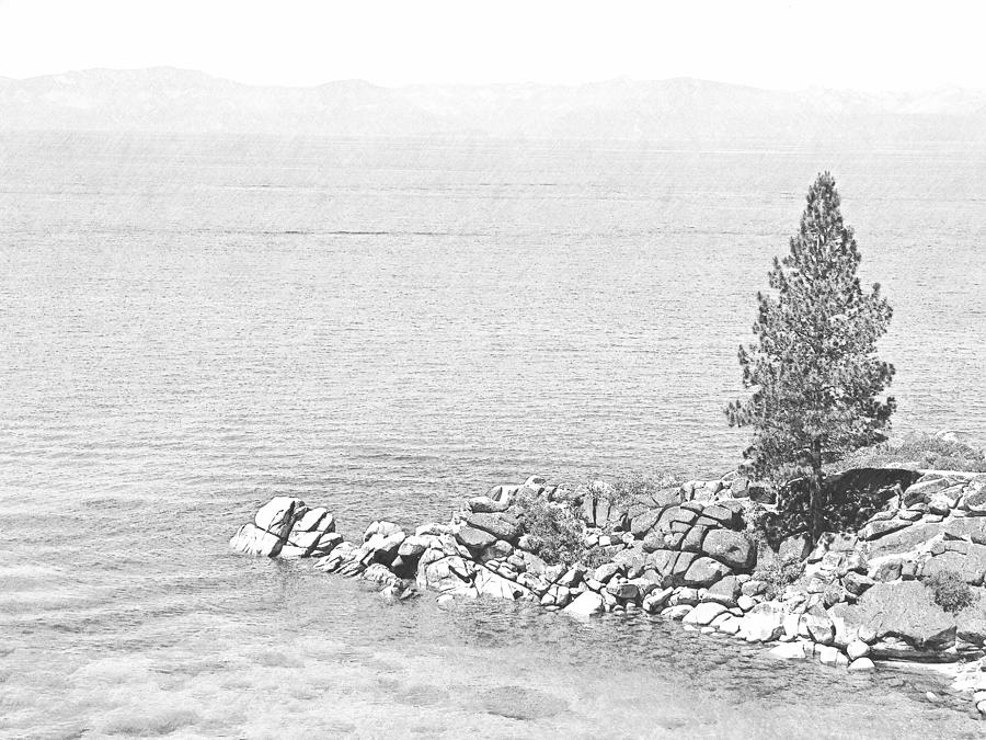 Lake Tahoe Rocky Point #2 Photograph by Frank Wilson