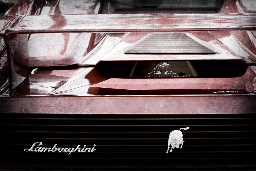 Lamborghini Rear View Emblem #2 Photograph by Jill Reger