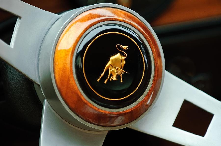 Lamborghini Steering Wheel Emblem #2 Photograph by Jill Reger