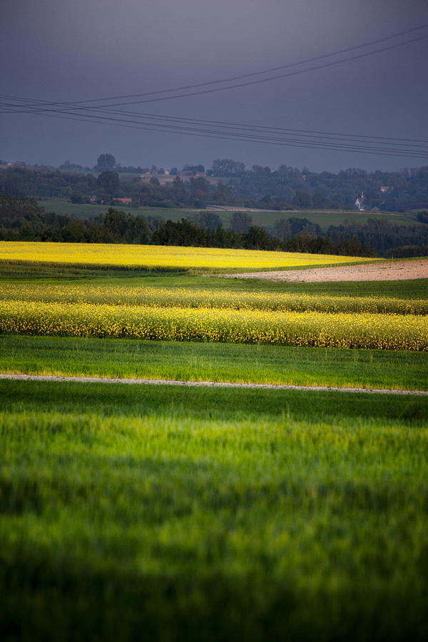 Landscape Photograph - Landscape by Anna Gora Landscape Photograph - Landscape by Anna Gora